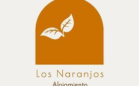 Alojamiento Los Naranjos Piscina Y Parking Gratuito